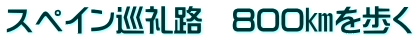 スペイン巡礼路　800㎞を歩く