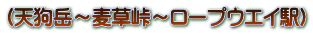 （天狗岳～麦草峠～ロープウエイ駅）