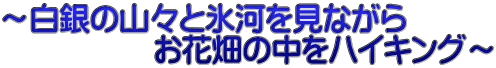 ～白銀の山々と氷河を見ながら 　　　　　お花畑の中をハイキング～