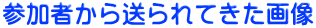 参加者から送られてきた画像